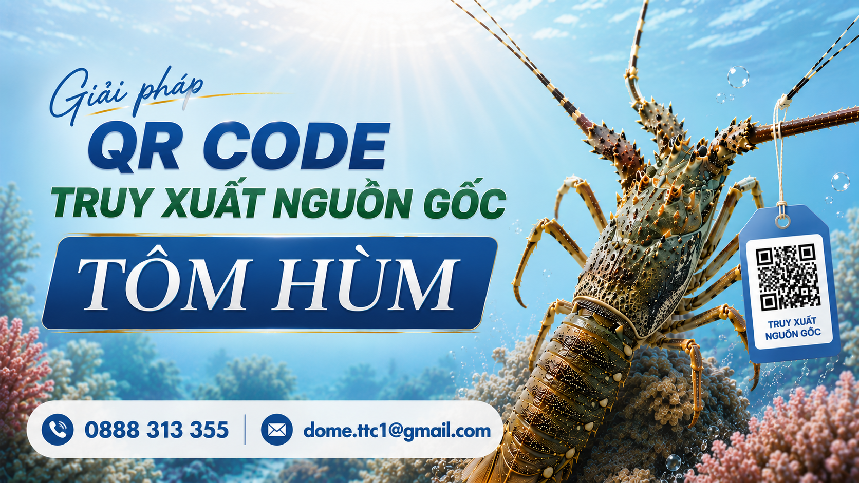 Giải pháp QR code truy xuất nguồn gốc tôm hùm: Cẩm nang toàn diện từ A-Z